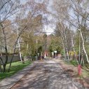 Parkovanie pod brezami