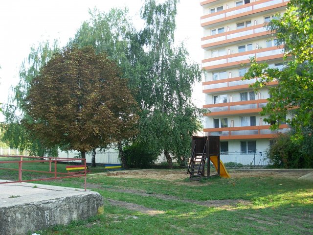 Škôlka v prírode - poznávanie prírody zmyslami (Materská škola na Golianovej ulicii)